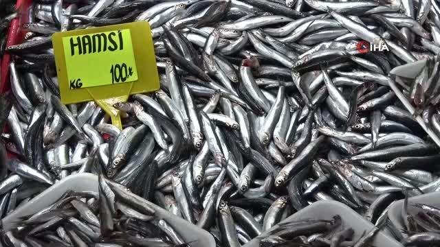 (ÇANAKKALE - ÖZEL)Yasakların ardından irileşen hamsinin kilosu 50 liradan 100 liraya çıktı