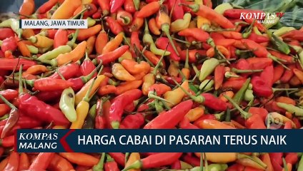 Harga Cabai di Pasaran Terus Naik