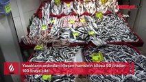 Yasakların ardından irileşen hamsinin kilosu 50 liradan 100 liraya çıktı