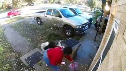 Funny Pets That Will Make You Laugh In 5 Seconds