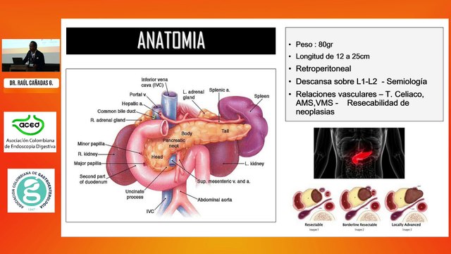 Fisiología pancreática – Pancreatitis aguda. Dr. Raúl Cañadas Garrido.