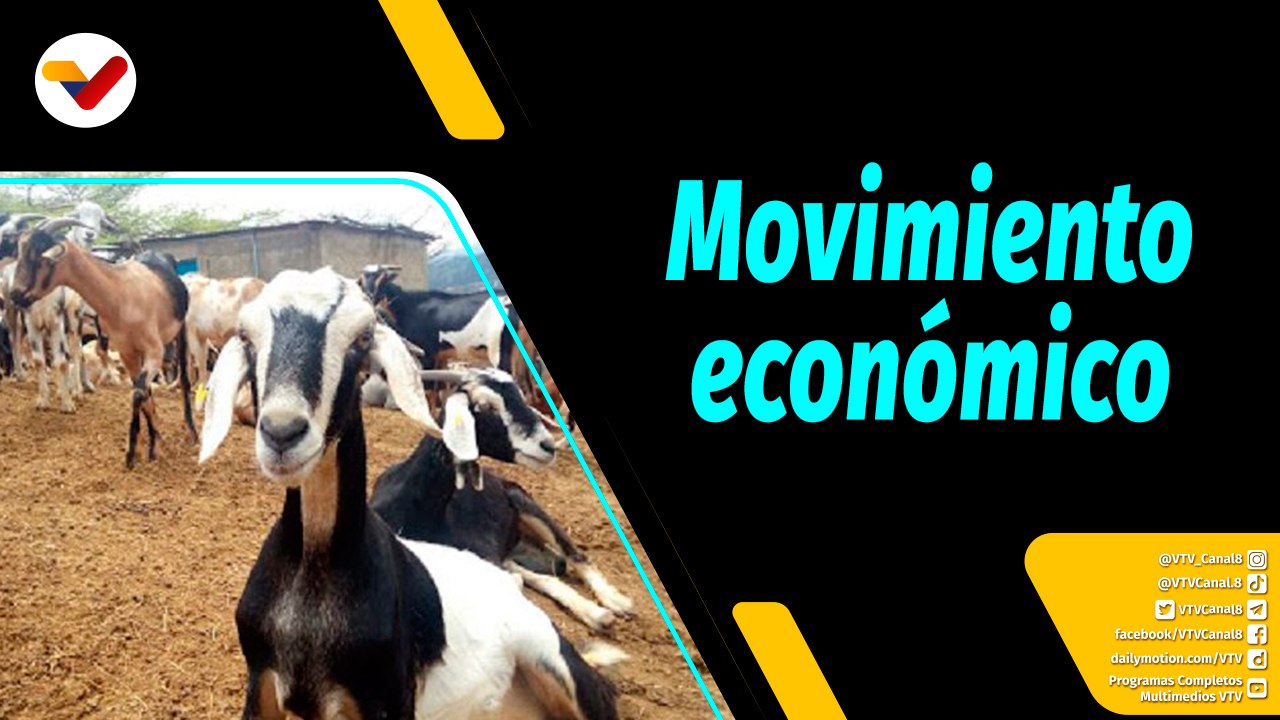 Al Aire | Impulso a los diferentes sectores productivos para la economía del país