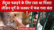 Man stuck in cage, Viral Video: leopard के लिए रखा था पिंजरा, लेकिन फंस गया इंसान | वनइंडिया हिंदी