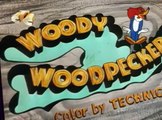 Woody Woodpecker Woody Woodpecker E141 – Woodpecker Wanted