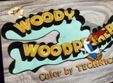 Woody Woodpecker Woody Woodpecker E144 – Janie Get Your Gun