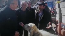 Engin Altay, Depremin 19'uncu Gününde Enkazdan Kurtarılan Koyunu, Depremzede Köylüye Destek Olmak İçin Satın Aldı