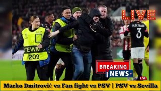 Marko_Dmitrović_vs_Fan_fight_vs_PSV_-_PSV_vs_Sevilla(360p)