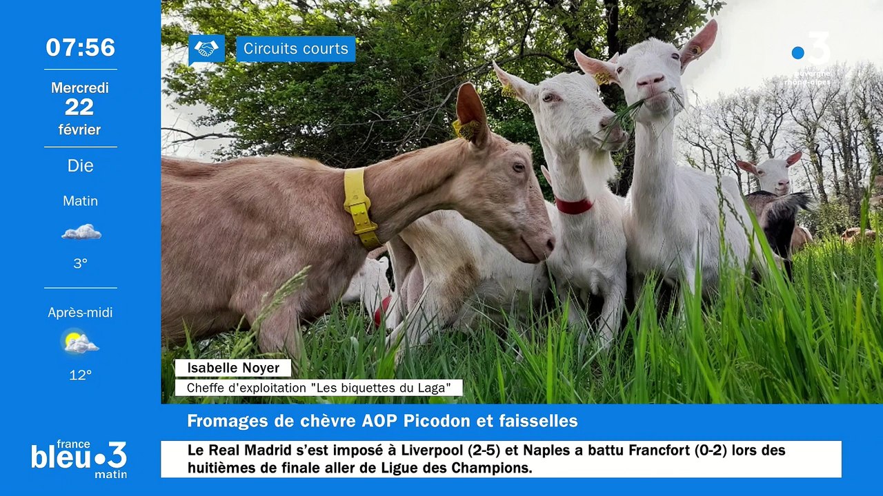 À Saint-Gervais-sur-Roubion, "Les biquettes du laga", faisselles, fromage de vache et de chèvres AOP Picodon