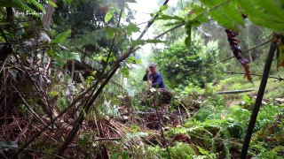 OFF GRID LIVING - Bamboo bridge, bamboo chair - Free bushcraft camp in the rainforest Ep.19