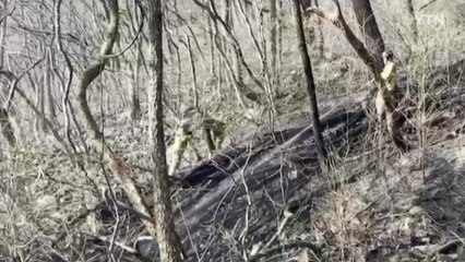 부산 정관읍 야산에서 불...3만㎡ 태우고 초진 / YTN