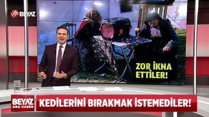 Beyaz Ana Haber 24 Şubat 2023