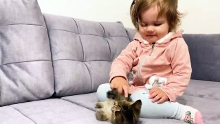 Cute Baby Meets New Baby Kitten for the First Time!