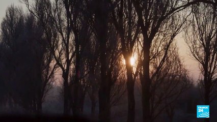 Ukraine's shadow soldiers: Meeting resistance fighters in Kherson region