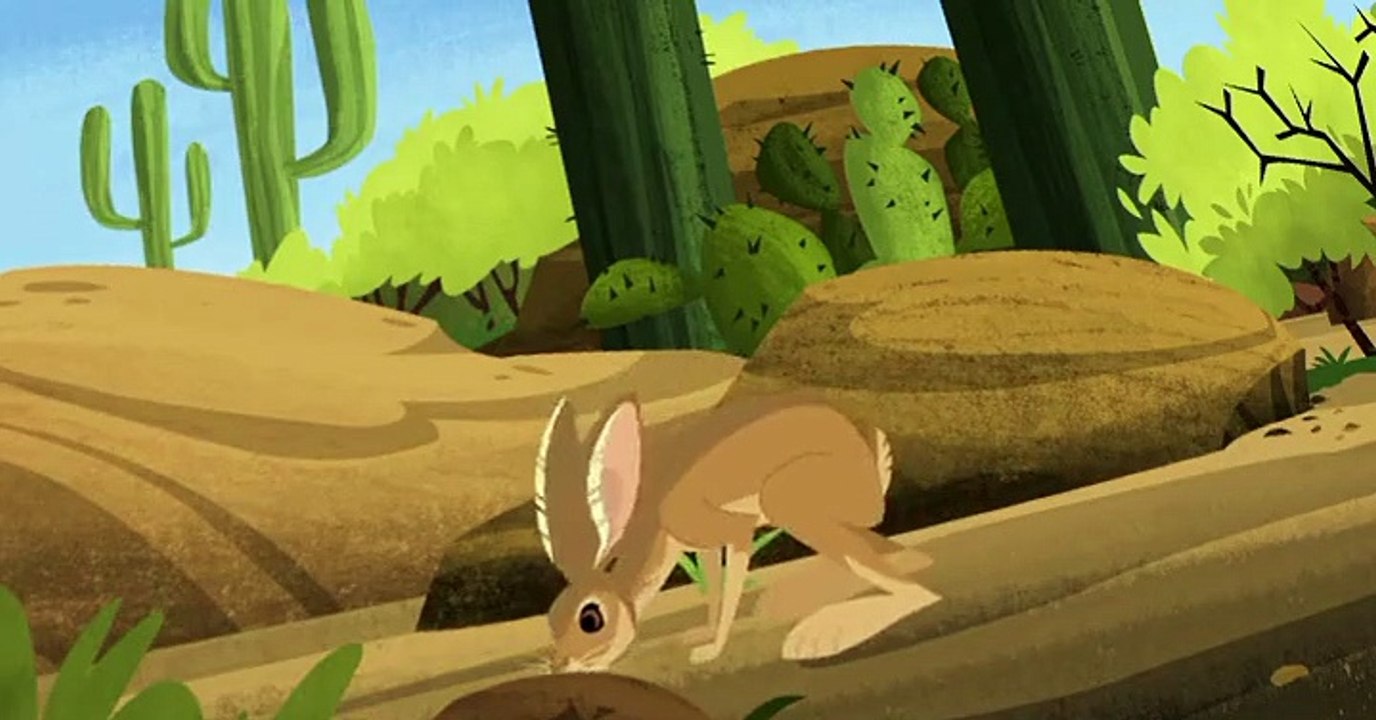 Wild Kratts Wild Kratts S06 E004 – Wolf Hawks - video Dailymotion