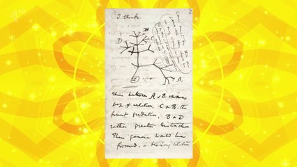 2016 The Big Fat Quiz of Everything 2 (HD)