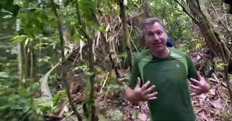 Wild Kratts Wild Kratts S06 E007 – Mystery Of The Mini Monkey Models