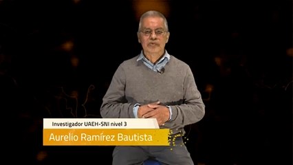 Sinapsis T1 Ep44 | Donde viven y que comen las serpientes