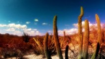 Beautiful Nature view of Desert, Dunes, Mountains & Ocean with Soothing & Calming  Music