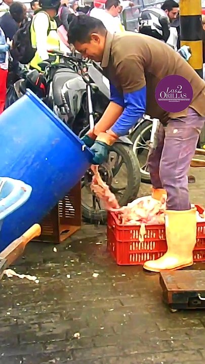 VIDEO CARNE 2