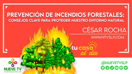 Prevención de incendios forestales: Consejos clave para proteger nuestro entorno natural