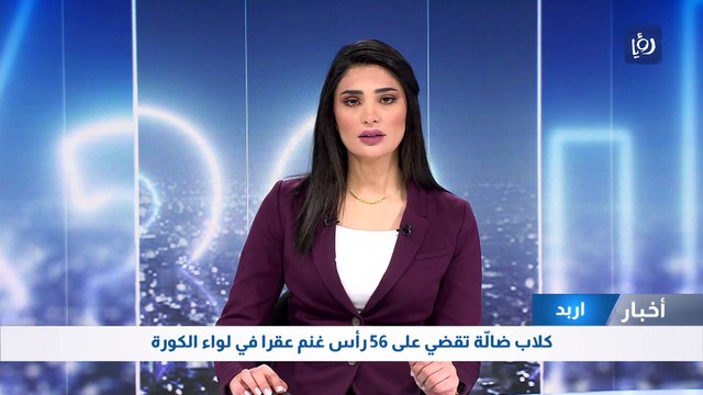 كلاب ضالّة تقضي على 56 رأس غنم عقرا بلواء الكورة في اربد