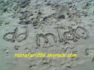 Dj mido mix,roubi,fares,guitara