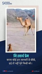 VID-20230225-WA0019