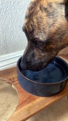 A Very Interesting Way To Drink Water