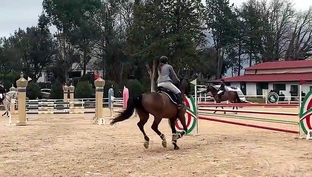 Horseback Rider Falls Off After Failed Attempt to Jump Fence