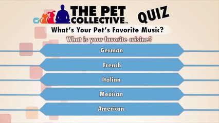 What's your pet's favorite type of music
