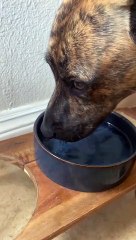 A Very Interesting Way To Drink Water