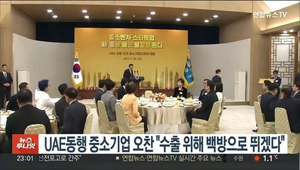 윤대통령, UAE 동행 중소기업인 오찬 "수출 위해 백방으로 뛰겠다"
