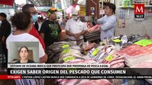 Es necesario saber el origen del pescado y marisco que consumimos: Organización Oceana