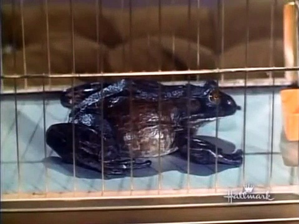 The Beverly Hillbillies - Se9 - Ep08 HD Watch