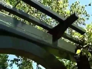 The New Yankee Workshop - Se9 - Ep06 HD Watch