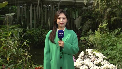 [날씨] 맑고 쌀쌀한 주말...강원 영동 많게는 15cm 이상 눈 / YTN
