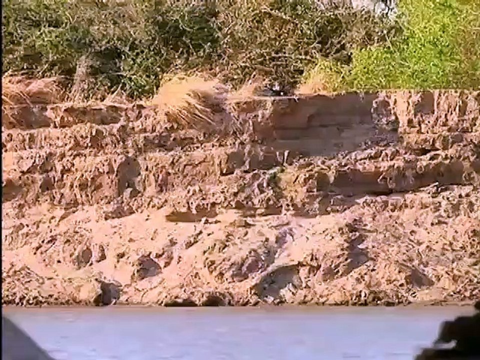 The Crocodile Hunter - Ep18 HD Watch