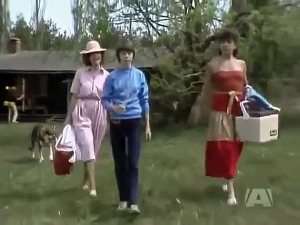 The Littlest Hobo - Se4 - Ep01 HD Watch