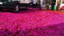 85th Congress Convention 2023: कांग्रेसियों ने कुछ इस तरह से किया प्रियंका गांधी  का स्वागत, गुलाब के फूलों से ढंक दिया सड़क