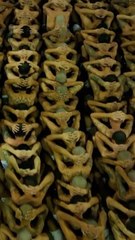 한밤, 팬티 남기고 다 벗겼다...이 나라 갱단원 2000명 이감 작전