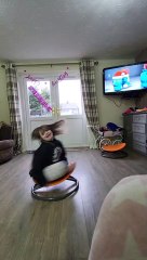 Girl Enjoys Spinning on Carousel