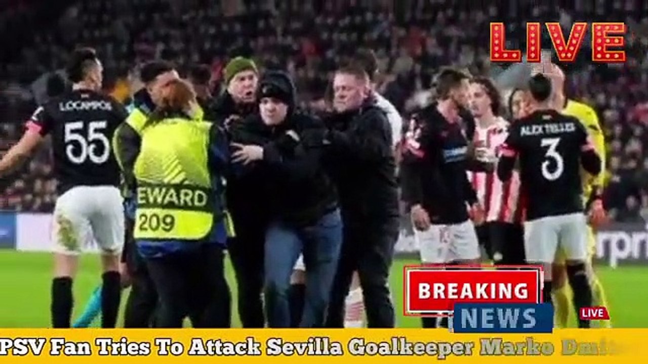 PSV_Fan_Tries_To_Attack_Sevilla_Goalkeeper_Marko_Dmitrovic_-_PSV_vs_Sevilla_-_PSV_Fan(360p)