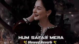 Hum Safar Mera Slowed Reverb Hindi Song