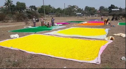 দোল উৎসবের প্রস্তুতি শেষ পর্যায়ে, ব্যস্ততা তুঙ্গে আবির তৈরির কারখানায়
