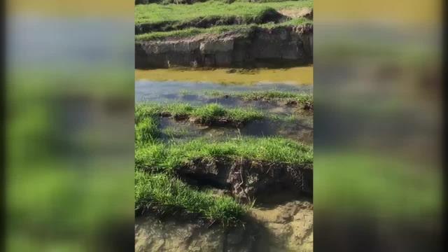 Antakya Ziraat Odası Başkanı Okay: Asi Nehri Yönünü Değiştirdi, Sıvı Yükselmesinden Dolayı Kum ve Yeraltı Suları Tarlaların Üzerine Çıktı