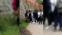Kız öğrencilerin kavgası! Aralarına alıp tekme tokat dövdüler