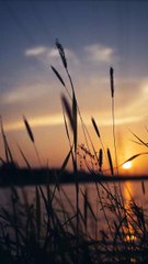 relax your  mind with beautiful nature #trending