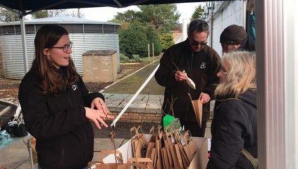 Free trees for Edinburgh residents