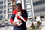 Malatya'da ağır hasarlı binada mahsur kalan kedi kurtarıldı