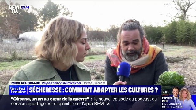 Sécheresse hivernale: la solution de l'arrosage au goutte à goutte